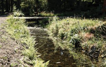 Hotel Almesberger Radfahren im Mühlviertel