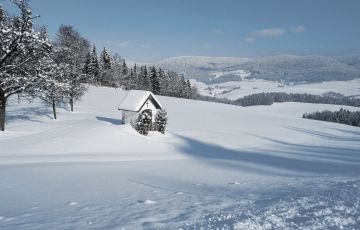 Aktivprogramm im Hotel Almesberger****s