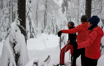 Hotel Almesberger Schneeschuhwander Wellnessurlaub