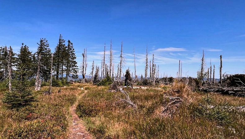 Hotel Almesberger Wellnessurlaub in Oberösterreich nahe Bayern Sommerurlaub Radfahren